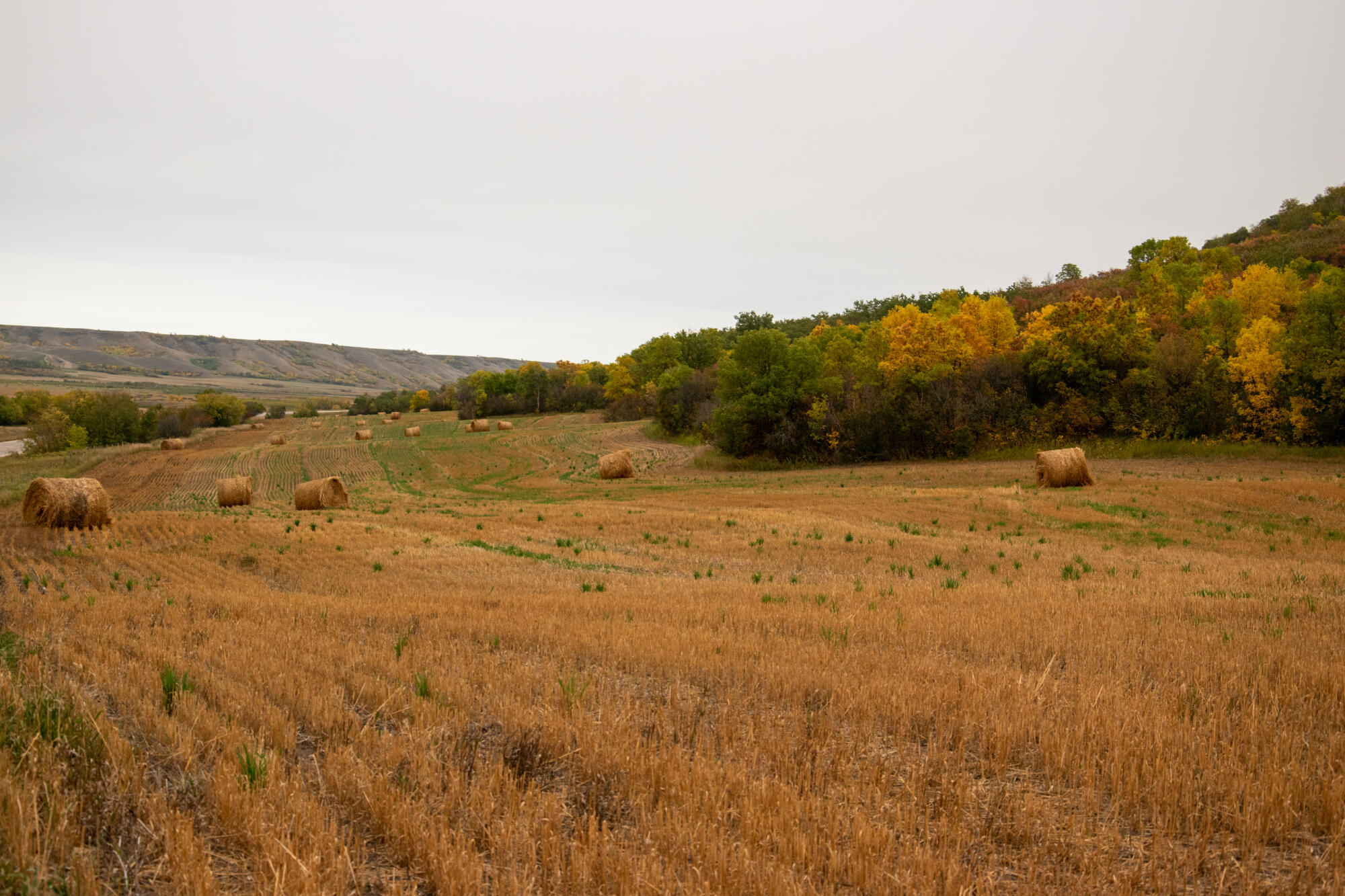 Prairie Hills Tipton: Where Daily Structure Supports Memory and Confidence